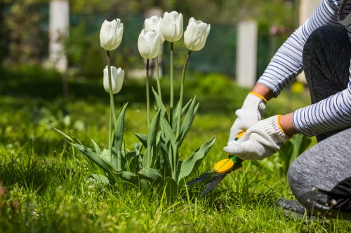 Eco-friendly garden clearance practices with recycling materials