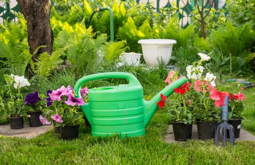 Garden clearance professionals removing debris from a backyard