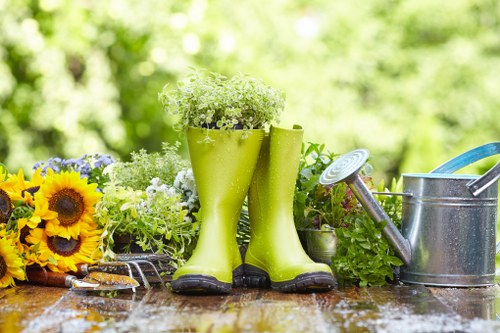 Eco-friendly lawn mowing equipment in action