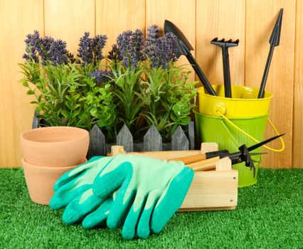 Clean and organized garden space after professional clearance