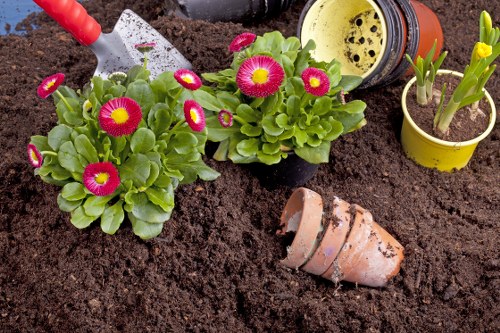 Professional lawn mowing service in Kings Cross